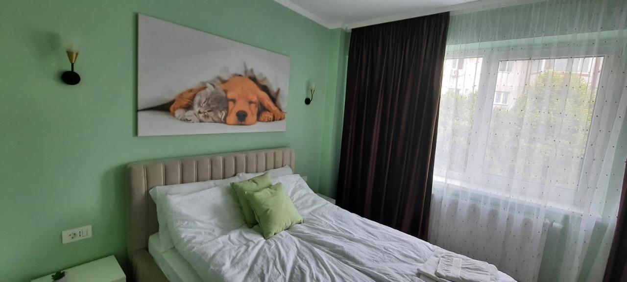 Apartment Pamy's Timisoara